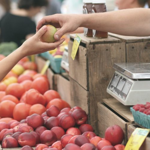 Jakie są prawa konsumenta?